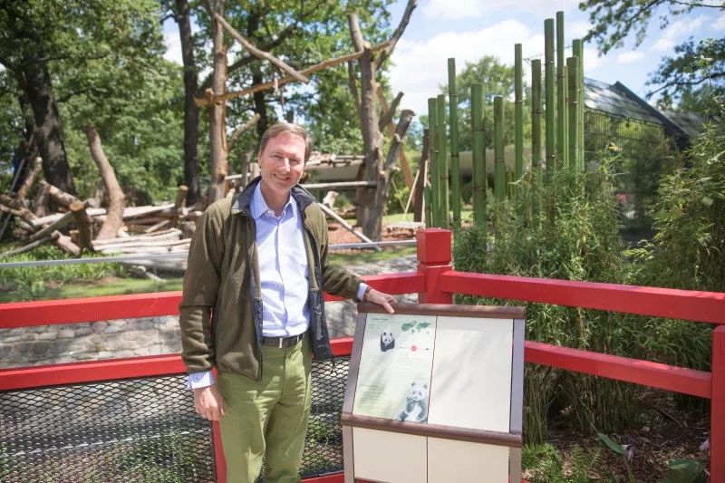 马来西亚为啥退换大熊猫,马来西亚退还中国大熊猫是真的吗