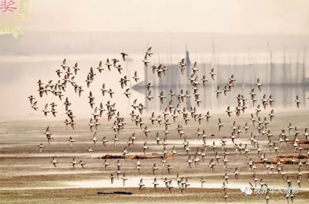 大美中国主题摄影作品征集启事,第五届华人摄影展入选名单