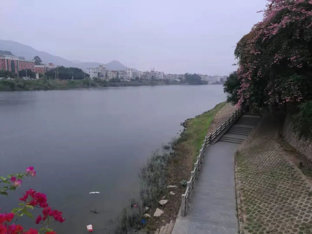 启程作者,启程歌曲作曲者是谁