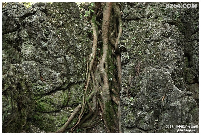 黄果树景区天星桥有没有必要去,贵州黄果树天星桥景区人山人海