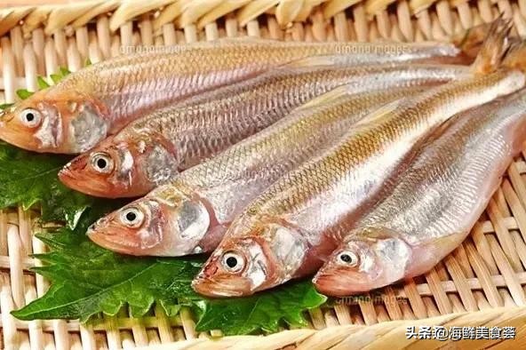 32种经典寿司做法视频,寿司常用的鱼