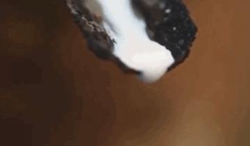 乳胶的真实缺点,乳胶的优劣靠什么判断