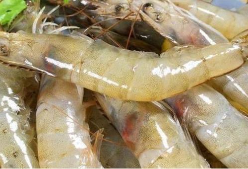 冻虾解冻后煮出来虾肉都发软碎了,白灼虾正确做法是冷水还是热水