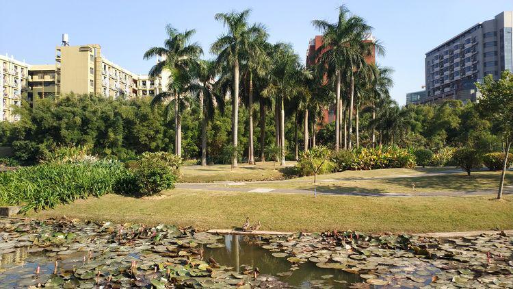 如何选择一家靠谱养老院,广州明禧养老院是公办养老院吗