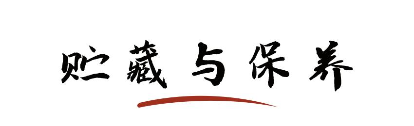 淄博市这个城市好吗,淄博这个城市怎么样