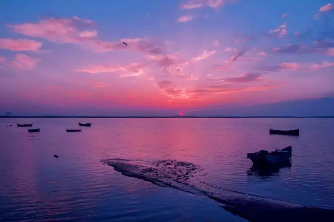 厉害了!威海南海迎来爆发式跨越,一座新城将惊艳世界