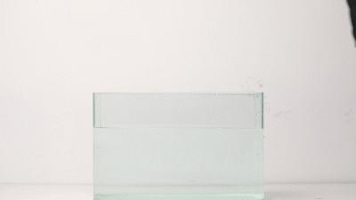 最厉害的一把伞,抗风能力超强自动伞