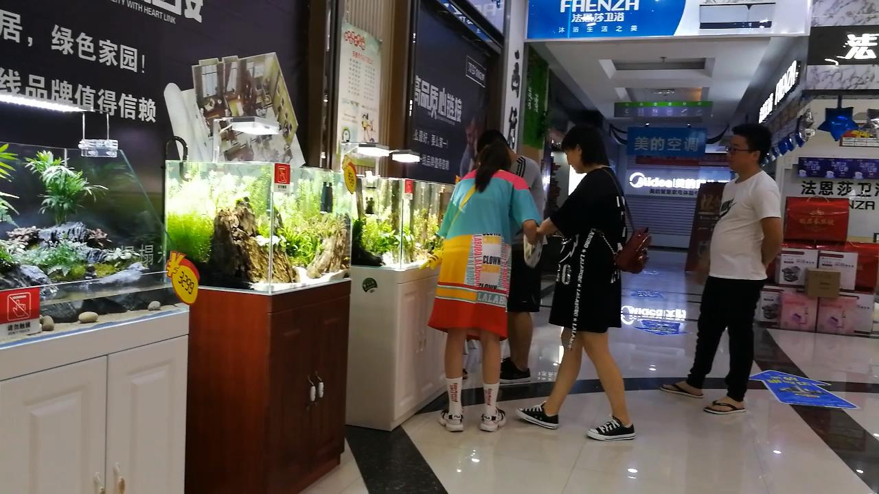 参观新开的草缸店，才开了1个月，邯郸兄弟，从玩家变老板