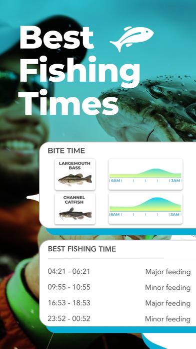 发钓鱼视频的最佳时间,什么时间钓鱼是最佳时间