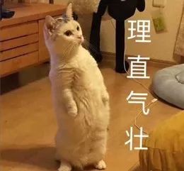 成语表情包照片,成语表情包动态图片