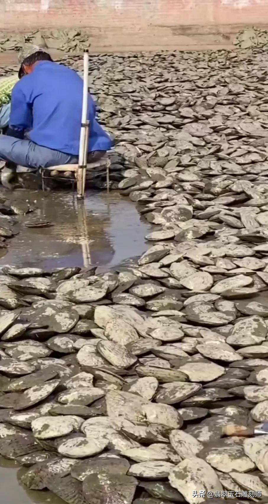 老板送的小礼物情人节,老板情人节送员工的礼物