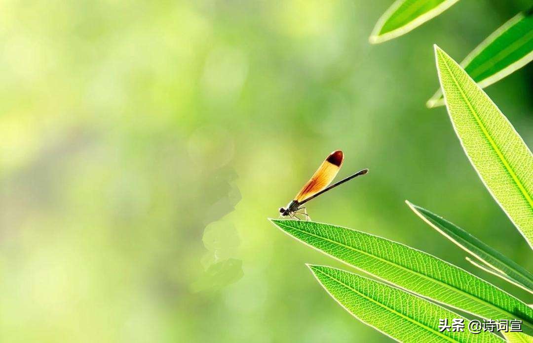 “盛年不重来，一日难再晨”，前面还有两句，老师讲到都自动规避