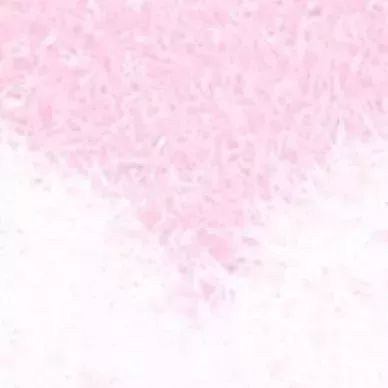 情人节朋友圈九宫格拼图模板,情人节心形九宫格图片