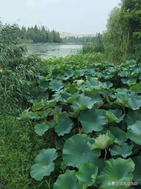 江南大学----一所可能“不适宜”学习的高校
