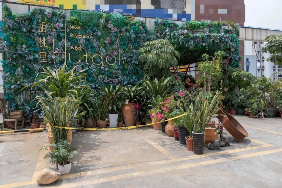 胡桃里超人气音乐,胡桃里音乐酒馆人均消费多少