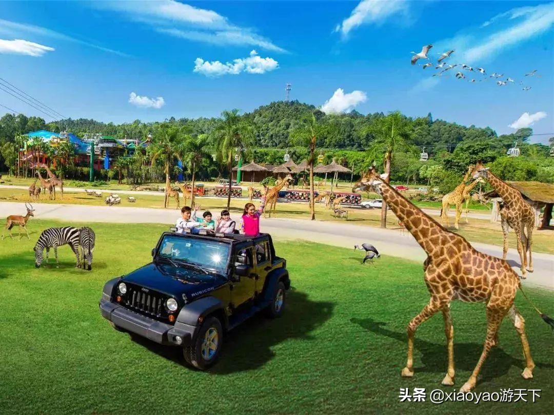 国家A级景区门票政策,全省104家a级旅游景区全部免票