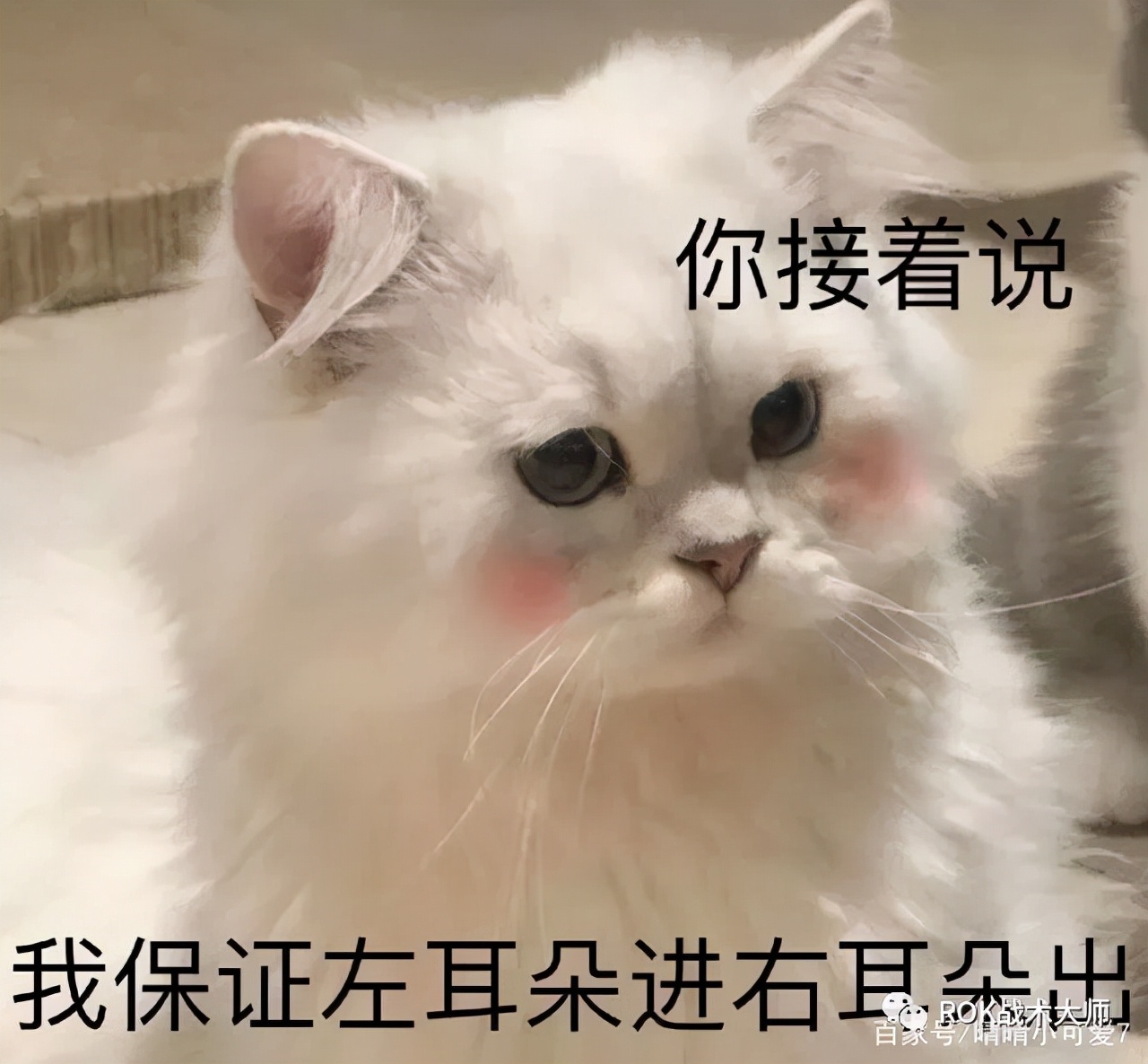 万国觉醒一条龙有多少宝石,万国觉醒宝石做什么最好