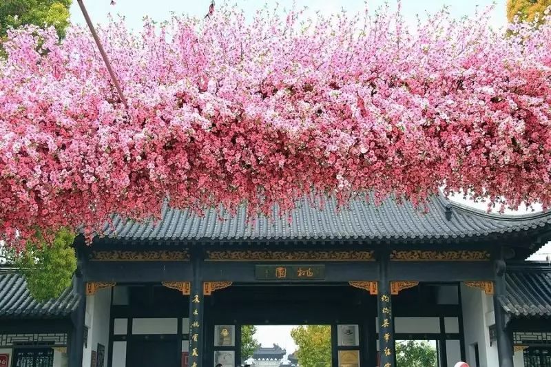 吐血整理！在上海你一定要知道这些