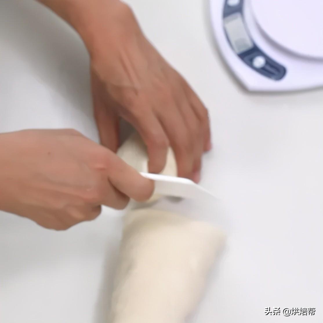 日本爆火吐司,日本生吐司中种