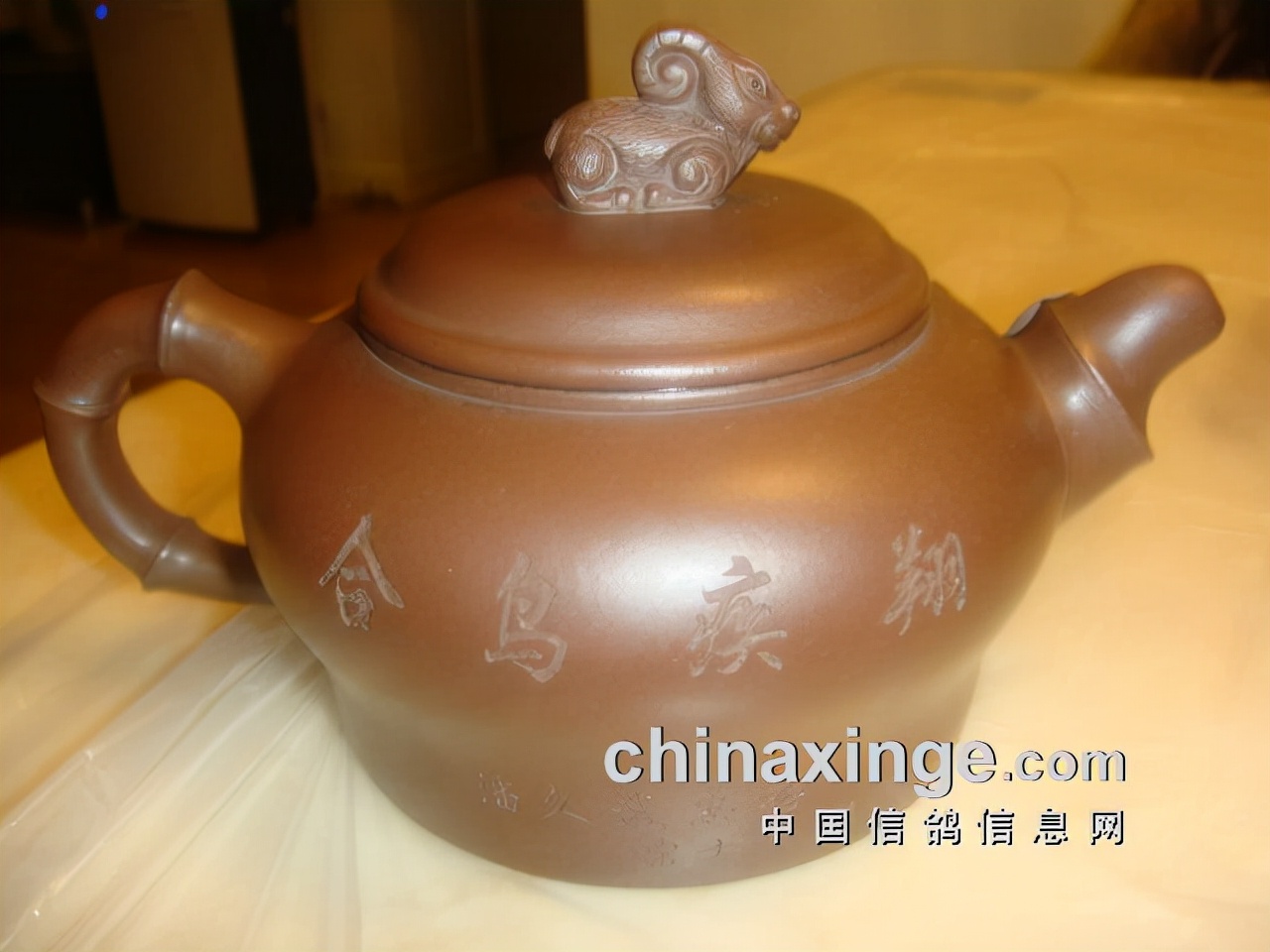 上海七旬老将的光耀：超远程结硕果公棚斩佳绩