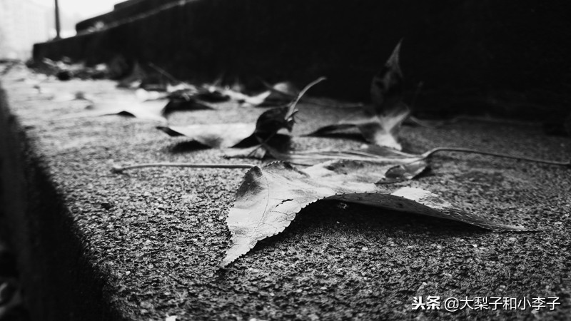 moto照相,moto拍照效果