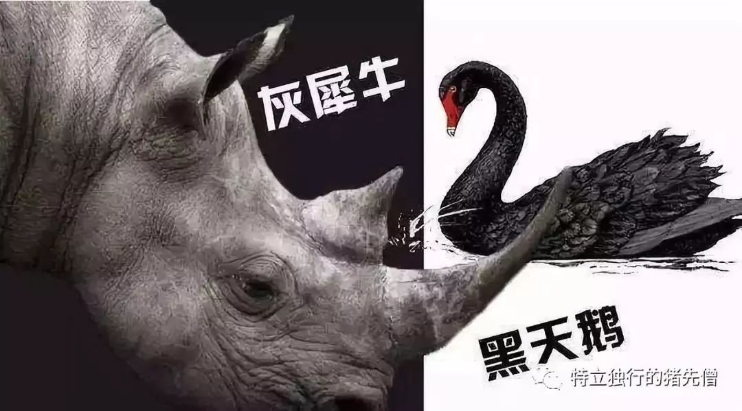 定投基金十年收益十倍,定投十年赚十倍是一本书吗