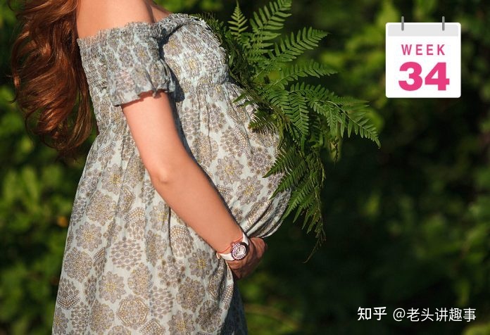 孕1-40周胎儿腹围发育标准,孕1-40周胎儿发育过程图英语