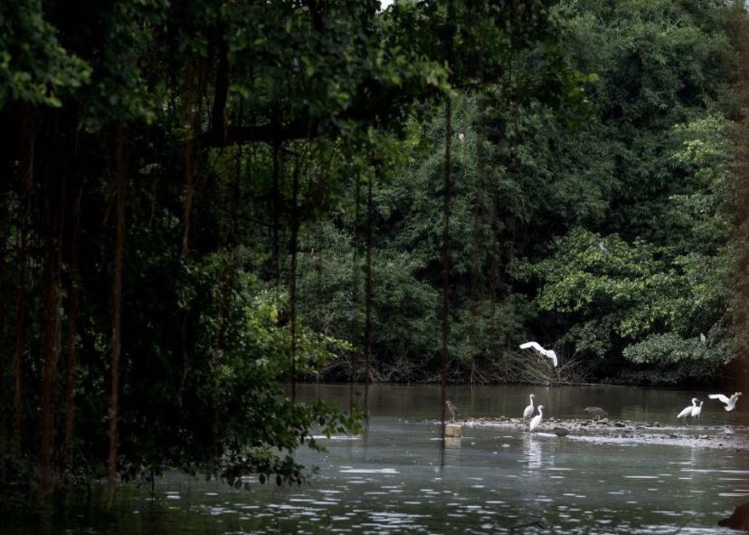 中国侨乡启超故里徒步中国第72城江门