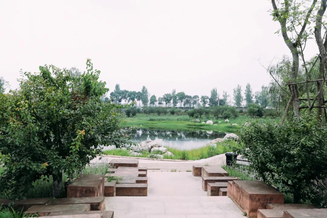 成都周末带孩子去哪玩好,成都周末带娃出去玩的地方推荐