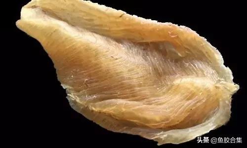 花胶一共有几种类型的品种,花胶种类中哪种最好