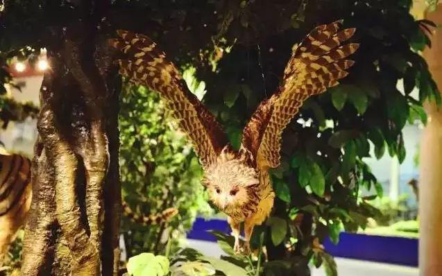 汉中周边旅游景点推荐自驾游,汉中新年到西安旅游全攻略