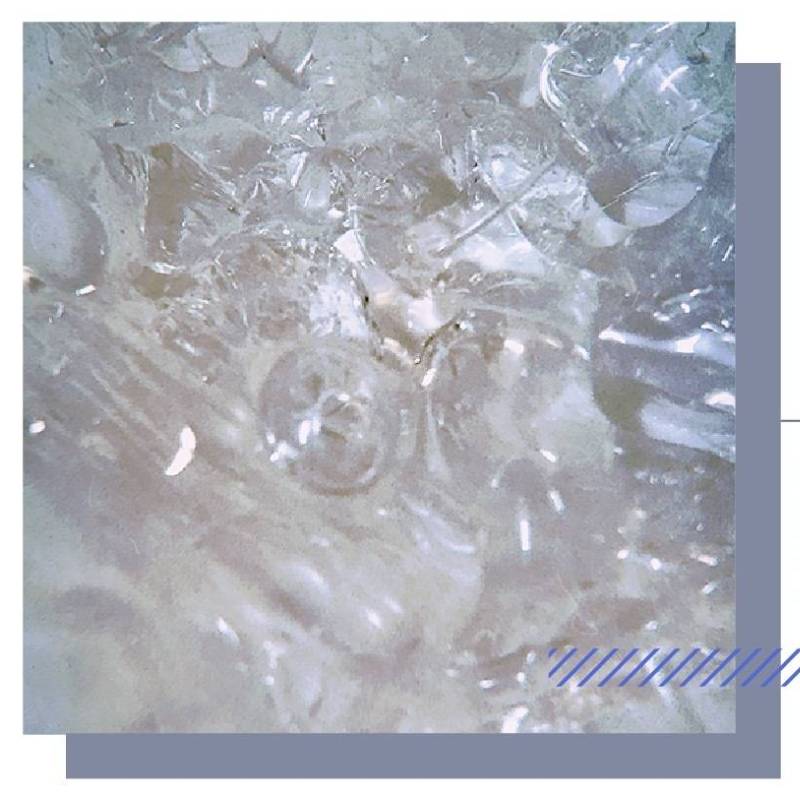 好看手帐社团胶带推荐,便宜又好用的手帐和社团胶带