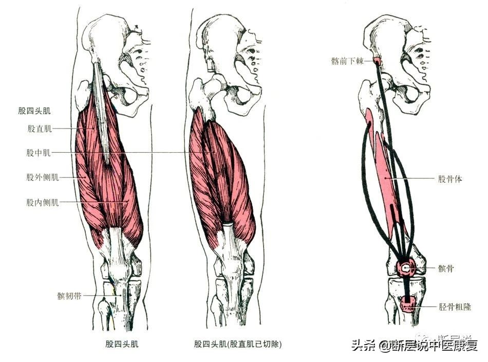 天气冷运动护膝推荐哪种,天气冷了保暖护膝