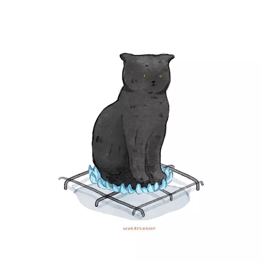 猫是液体的证据找到了吗,猫难道真的是液体吗