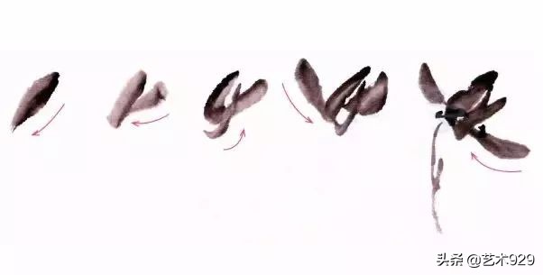 国画兰花画法免费技法教程,国画兰花绘画图