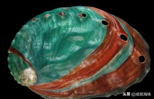 吃海鲜的六大忌你知道吗,吃海鲜不为人知的黑幕