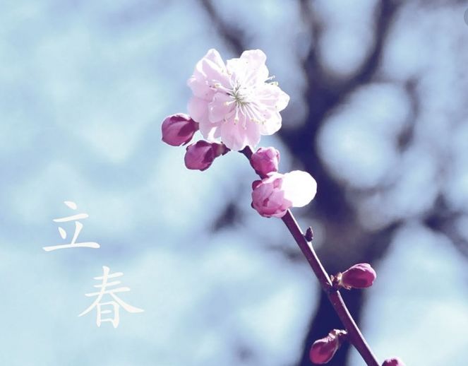 古诗词中立春的诗词有哪些,写春的古诗赏析和感悟
