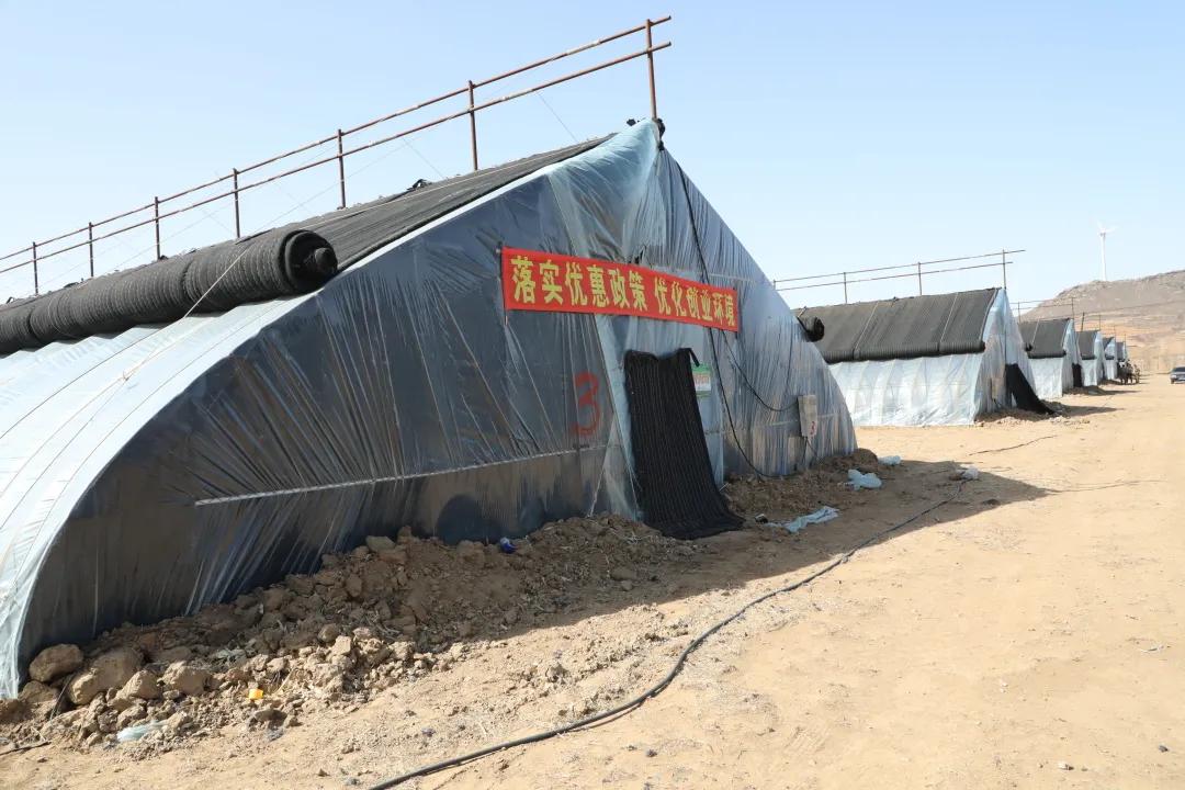 返乡入乡创业创新宣传周实施方案,返乡入乡创业创新政策宣传信息