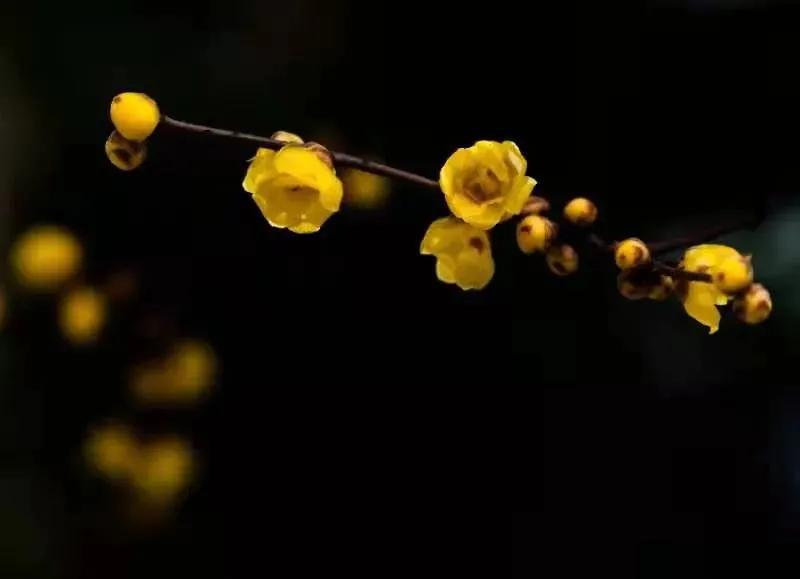 双节星空摄影作品欣赏,一组美丽的星空摄影作品