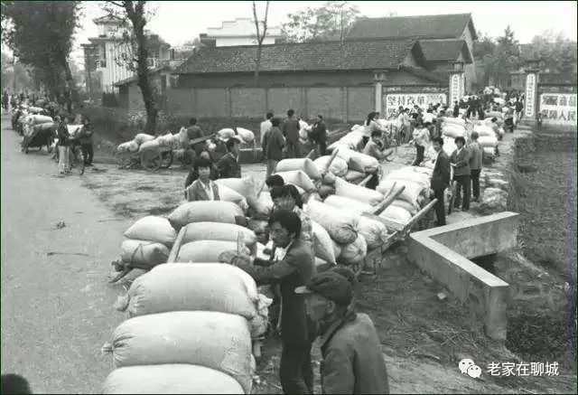 城市民谣聊城,聊城民谣故事