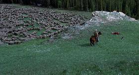 西部电影和牛仔的渊源,经典西部牛仔影片