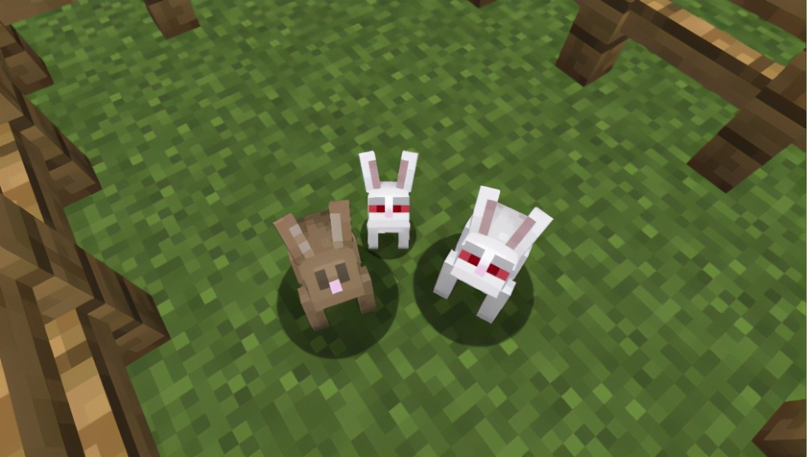 我的世界杀手兔和猫,我的世界杀手兔