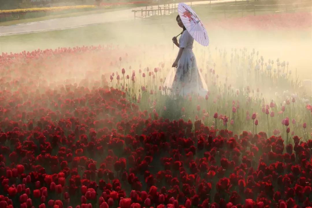 合肥大蜀山游玩攻略,合肥蜀山区最值得去的地方