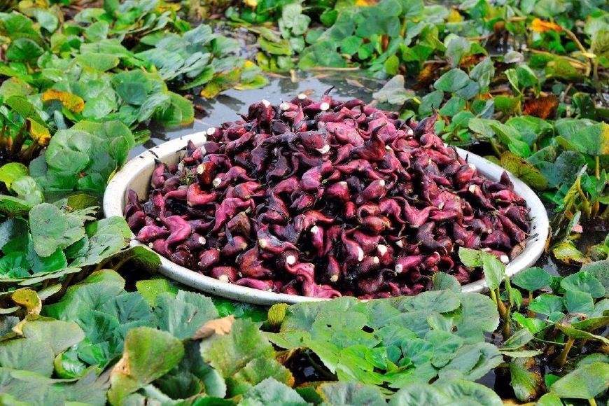 菱妹妹的前世今生,前世今生小说季雨菱