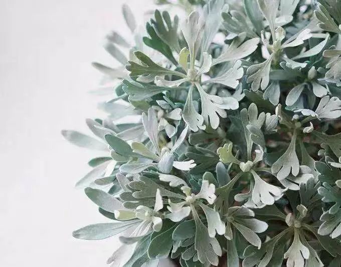 11月好物,10月实用好物推荐