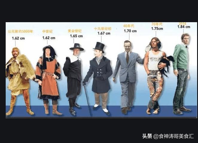 荷兰人一天的饮食,荷兰的生活方式饮食习惯