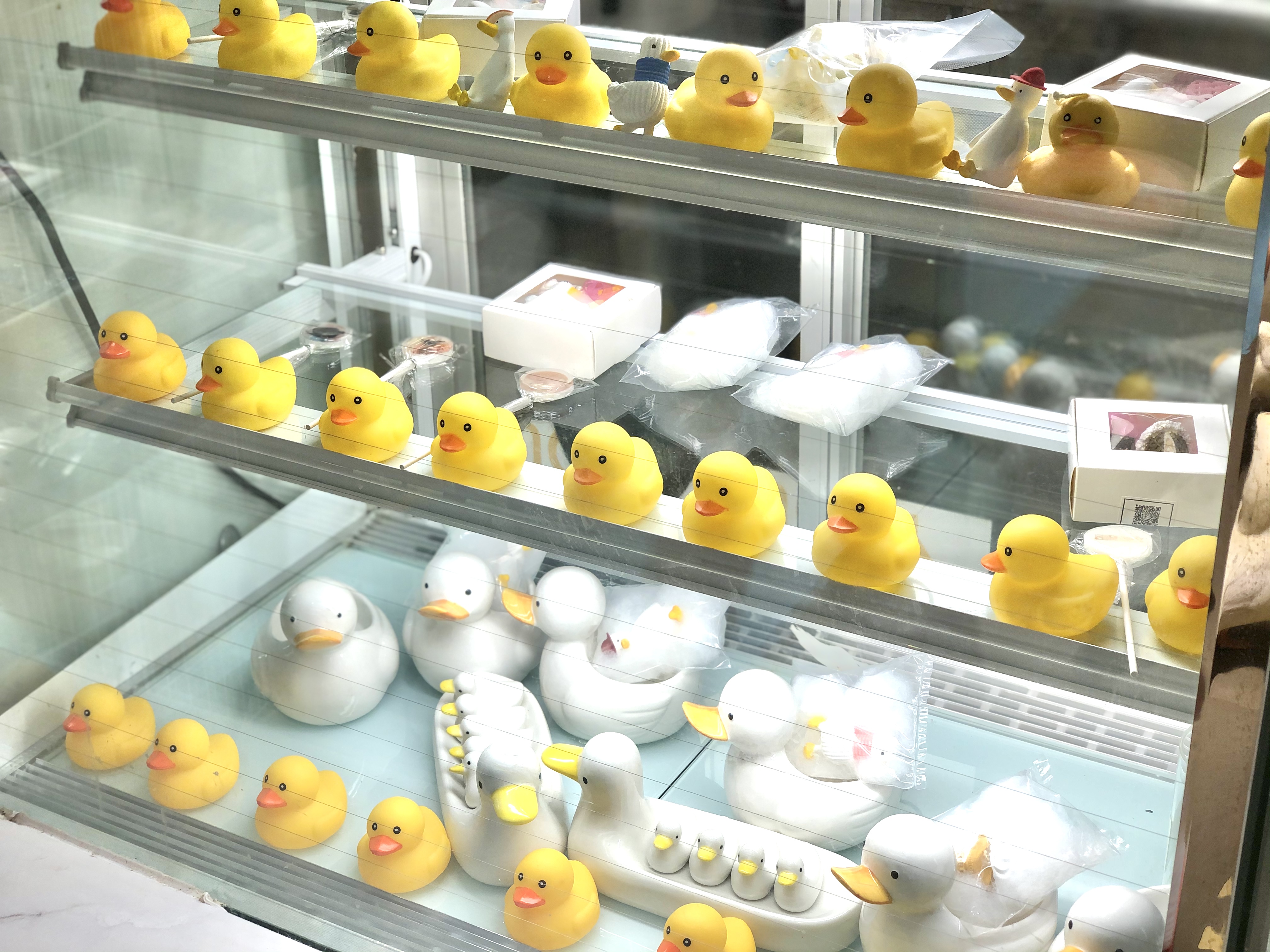 撸动物的网红店顺德,撸小动物的网红店北京世纪金源