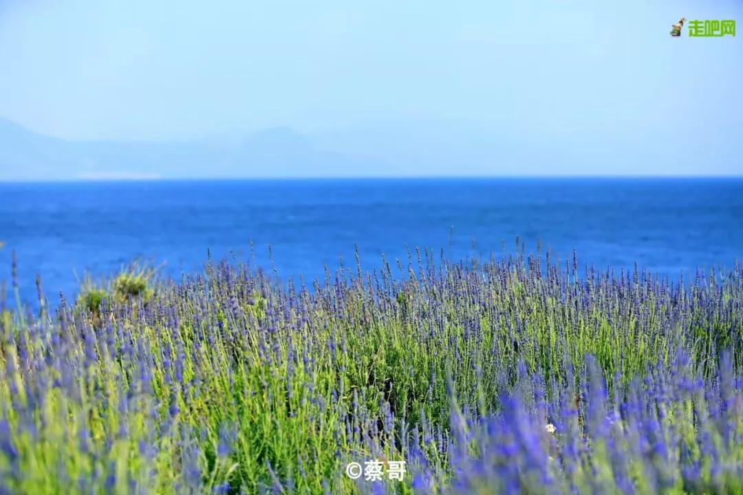 云南自驾5条最佳线路图,云南适合开车自驾的公路