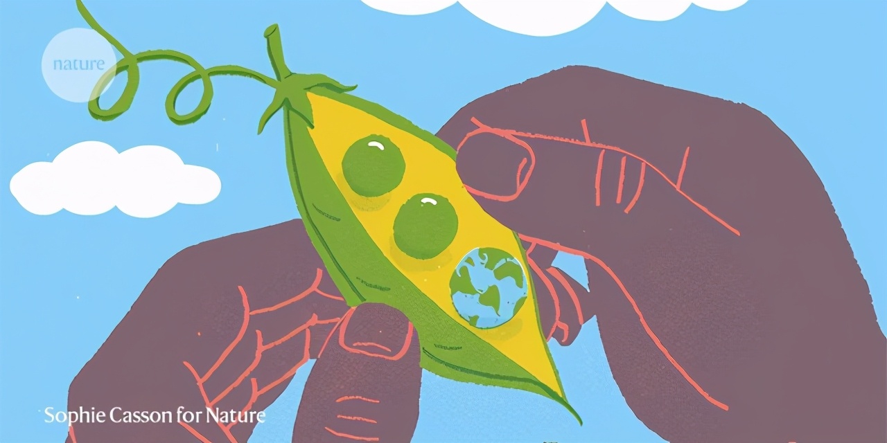 NatureOutlook小专题：4文聚焦可持续营养