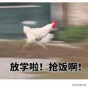 福州大学吃饭视频,福州三中蹭饭